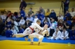 Новогоднее первенство МАУ СШОР дзюдо