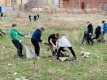 Субботник-2022