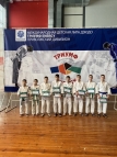 Второй тур Приволжского Дивизиона Детской Лиги дзюдо «Триумф Energy»